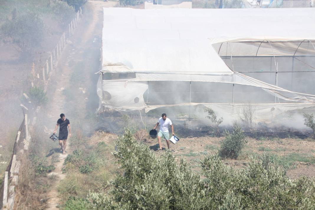 Otluk alanda başladı orman ve seralara sıçradı - Resim: 15